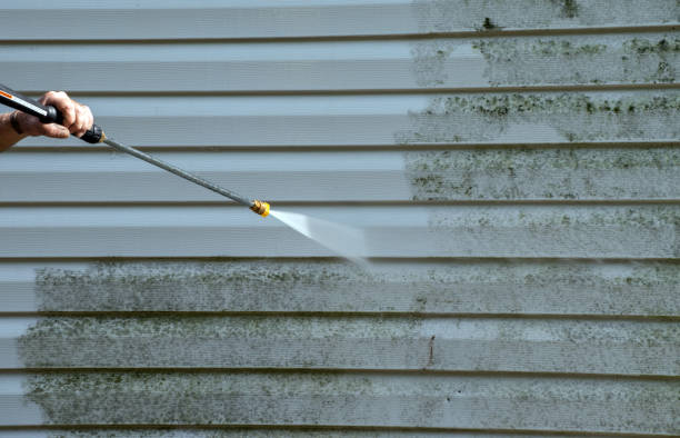 Best Building Exterior Washing  in Manvel, TX
