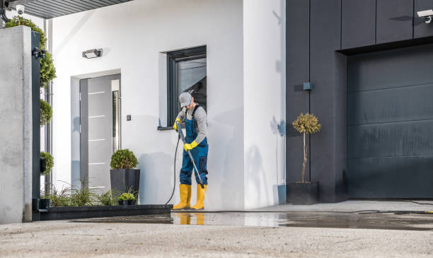 Best Roof Washing  in Manvel, TX